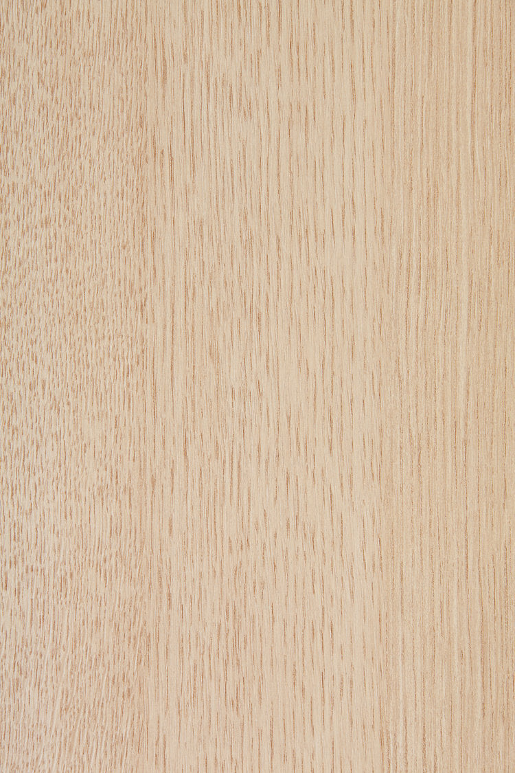 Balance 1500 x 800 Desk - (Discount available for more than 1)