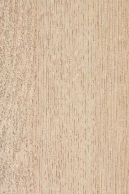 Balance 1500 x 800 Desk - (Discount available for more than 1)