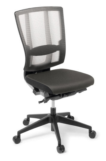 Eden Cloud Ergo Mesh Chair