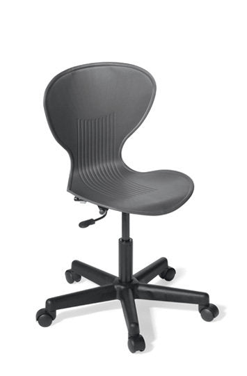 Echo Swivel