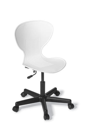 Echo Swivel