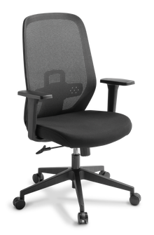 Eden Memo Mesh Chair - SPECIAL - Delivered in a Box